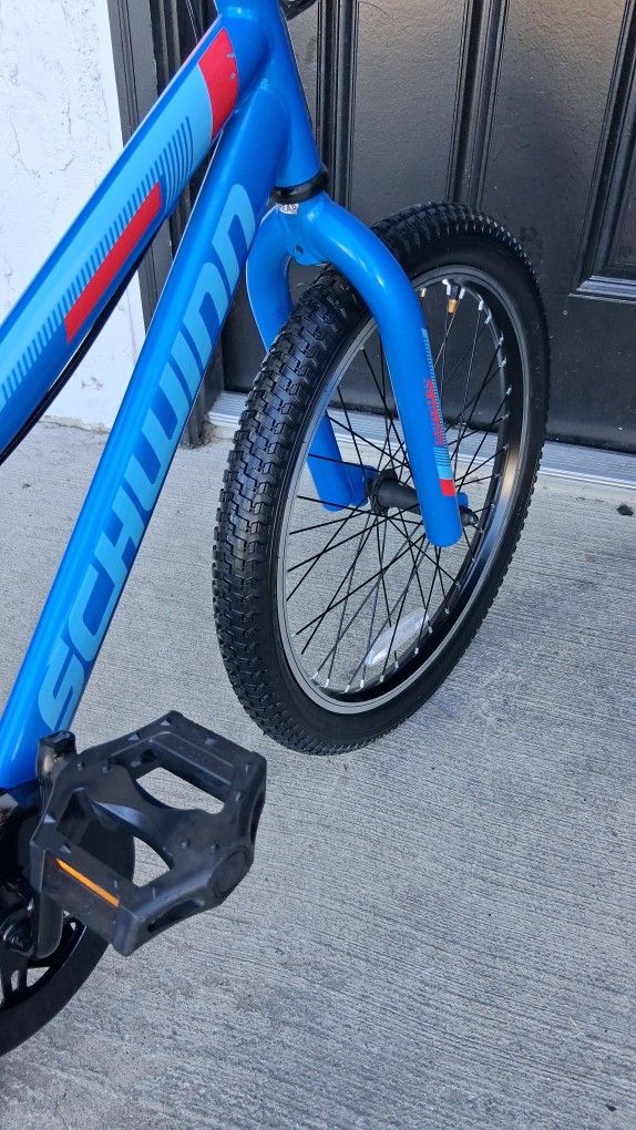 Raleigh Kids Bike ( 20 Inch Wheels)