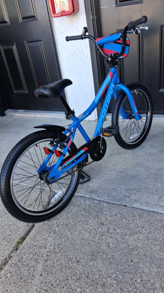Raleigh Kids Bike ( 20 Inch Wheels)